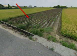 太保市田尾里特定農地、土地完整，價格便宜
