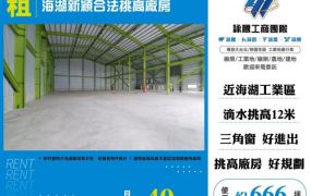 海湖新穎合法挑高廠房157