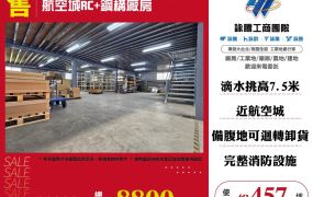 大園航空城RC+鋼構廠房