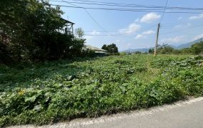 埔里近交流道中正路投資地