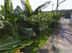 🏝️【琉球大寮都市農地】52坪低總價農地🌿適合露營、貨櫃屋、休閒度假多用途首選！