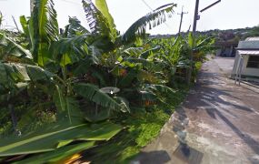 🏝️【琉球大寮都市農地】52坪低總價農地🌿適合露營、貨櫃屋、休閒度假多用途首選！