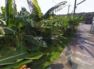 🏝️【琉球大寮都市農地】52坪低總價農地🌿適合露營、貨櫃屋、休閒度假多用途首選！
