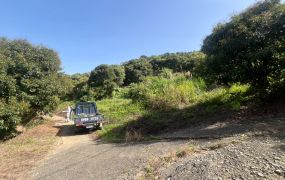 太平近頭汴國小公車前農地