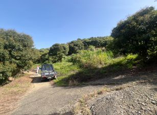 太平近頭汴國小公車前農地