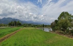 永慶許書豪★三星農舍林立雙面路足坪農地