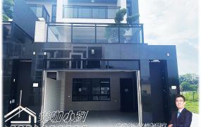 🔥新化市心4分鐘｜絕版雙車莊園豪墅+農地🔥