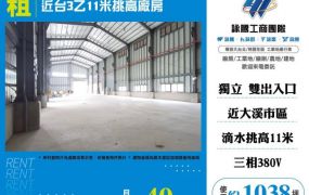 近台3乙11米挑高廠房132