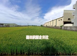 ㊣168縣道前後路農地11-047    05-2310186