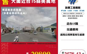 大園近台15縣美農地