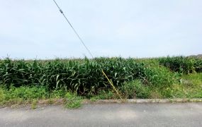 台南柳營旭山里山子脚1.9分農地