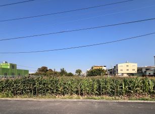 台南安定新吉480超值農地