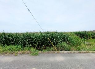 台南柳營旭山里山子脚1.9分農地
