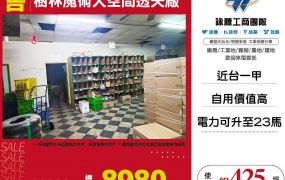 樹林魔術大空間透天廠