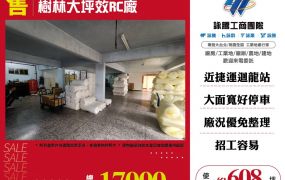 樹林大坪效RC廠房