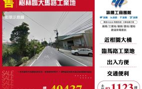 樹林臨大馬路工業地