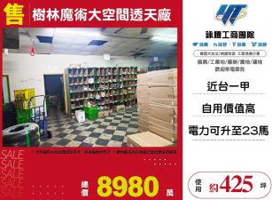 樹林魔術大空間透天廠