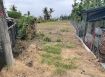 內埔小而美休閒農地★近義大園區★小額投資