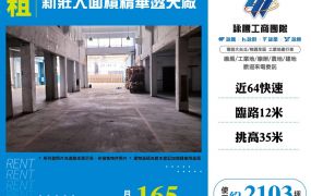新莊大面積精華透天廠