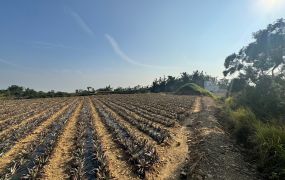 鳥松四千坪農地◆多元開發