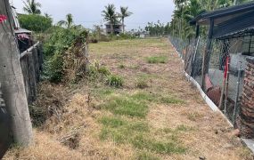 內埔小而美休閒農地★近義大園區★小額投資