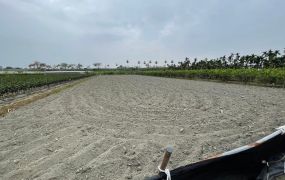 九如交流道旁方正農地