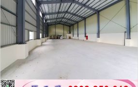 觀音崙坪挑高鋼構廠房(可依法廠登)