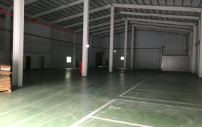 龜山合法挑高倉庫