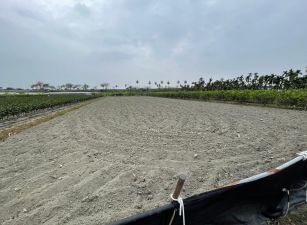 九如交流道旁方正農地
