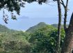 ★住商-張霞★龜山島美景山坡地4房建物