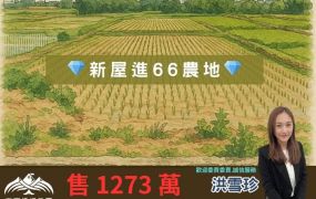 753坪方正沃土 × 農保用地 × 近新屋市區