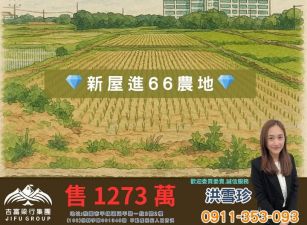 753坪方正沃土 × 農保用地 × 近新屋市區