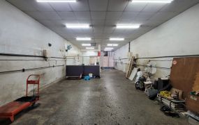 新北廠房廠辦 樹林挑高透天廠