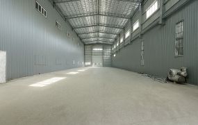 新北廠房廠辦 樹林區柑園挑高鋼構廠