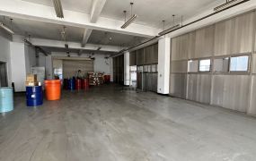 新北廠房廠辦 近迴龍透天廠房