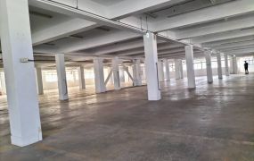 新北廠房廠辦 上新莊企業總部廠房