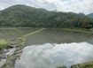 永慶許書豪★山邊7695坪大坪數足坪美農地