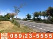 市農386_省道台九線雙面臨路都計內農地