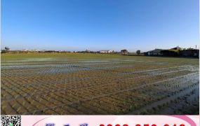 平鎮大面積交通用地(變更中)
