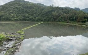 永慶許書豪★山邊7695坪大坪數足坪美農地