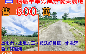 縱農230_鹿野國際性熱氣球嘉年華旁風景優美農地