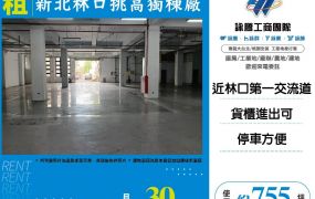 新北林口挑高獨棟廠