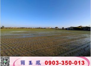平鎮大面積交通用地(變更中)
