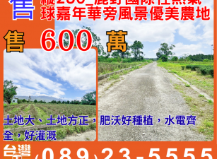 縱農230_鹿野國際性熱氣球嘉年華旁風景優美農地