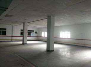 大園長發工業區收租RC廠房