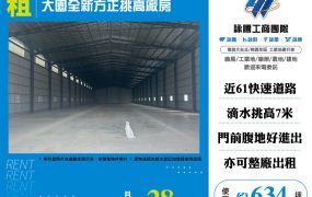 大園全新方正挑高廠房