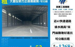 大園全新方正挑高廠房/可分租