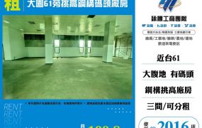 大園61旁挑高鋼構碼頭廠房