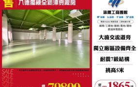 八德獨棟全新漂亮廠房