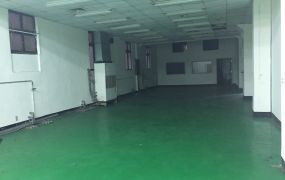 八德透天RC廠房出租